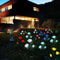 Solar Powered LED Rose Light 1