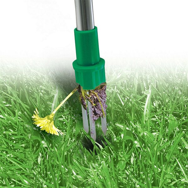 Standing Plant Root Remover Tool