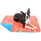 Super Absorption Puppy Pad for Pee & Dirt