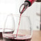 Wine Bottle Cooler Stick