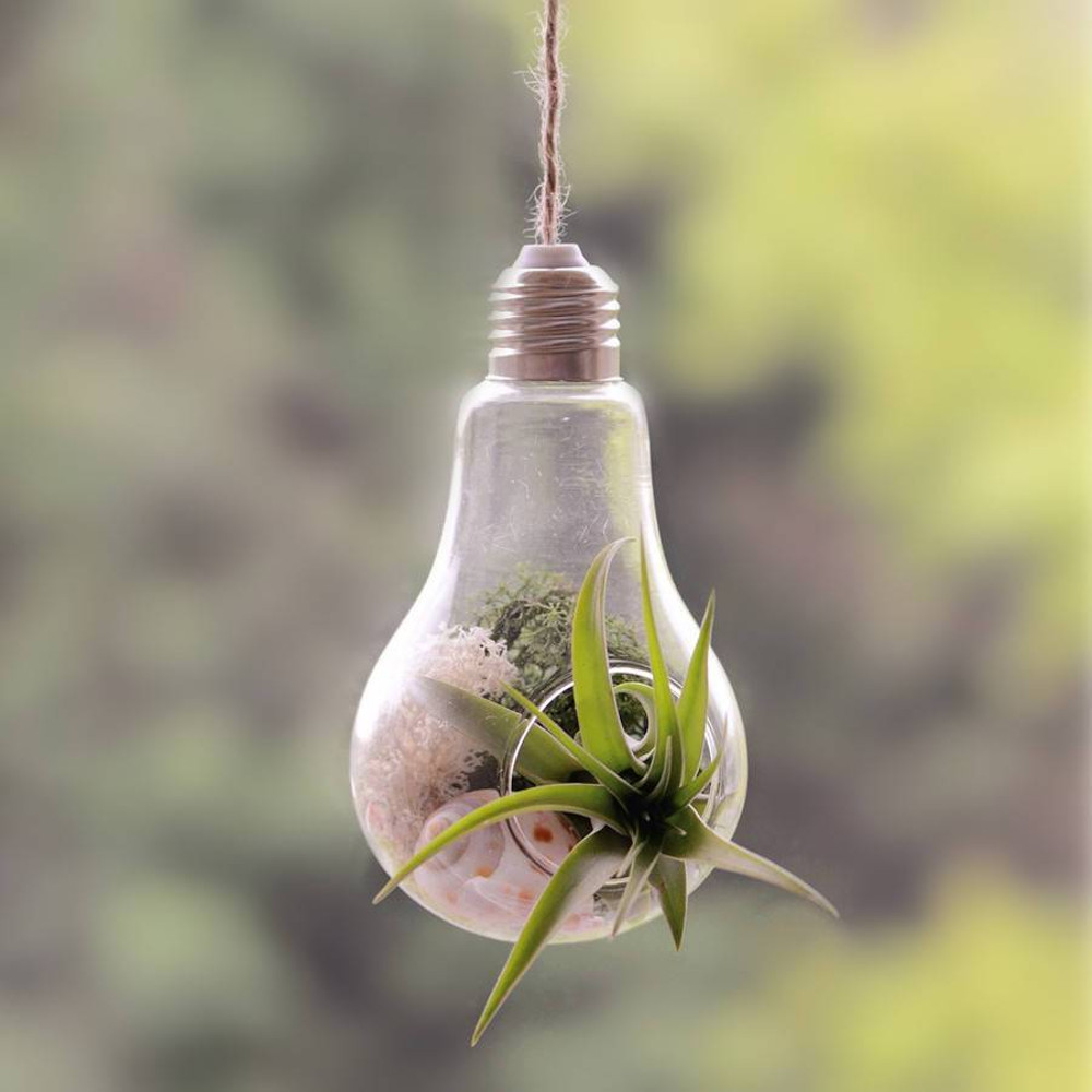 Modern Light Bulb Planter 2