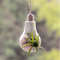 Modern Light Bulb Planter 2