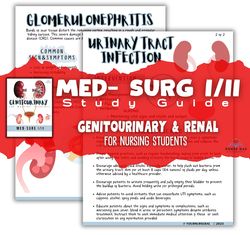 Urinary System/ Renal Study Guide, Med-Surg I/II Genitourinary Bundle for Nursing Students, GU Study Guide, Nursing Scho